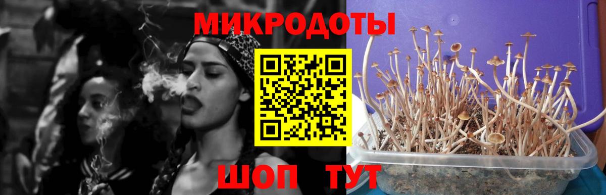 Галлюциногенные грибы мухоморы Миасс